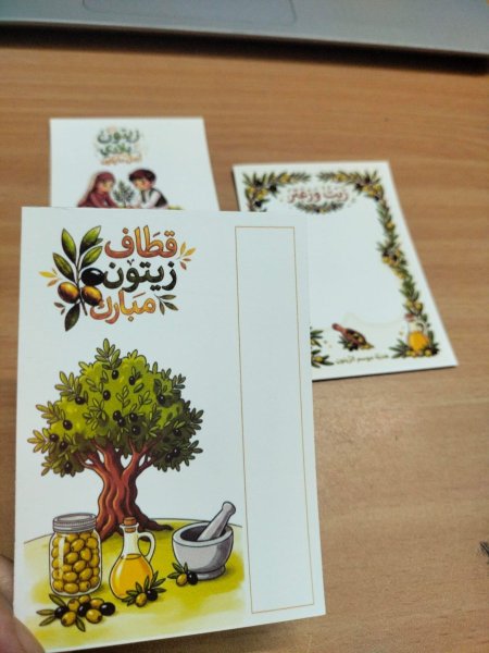 قطاف الزيتون