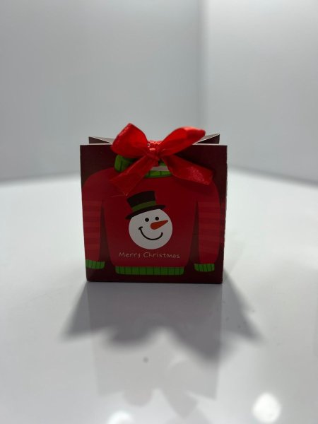 بلوز رجل الثلج